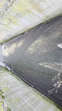 
Wycieczka w lesie w słoneczny dzień, grzymek dawne kąpielisko Mazowsze, Polska.
A trip to the forest on a sunny day, Grzymek, a former bathing place in Mazovia, Poland.