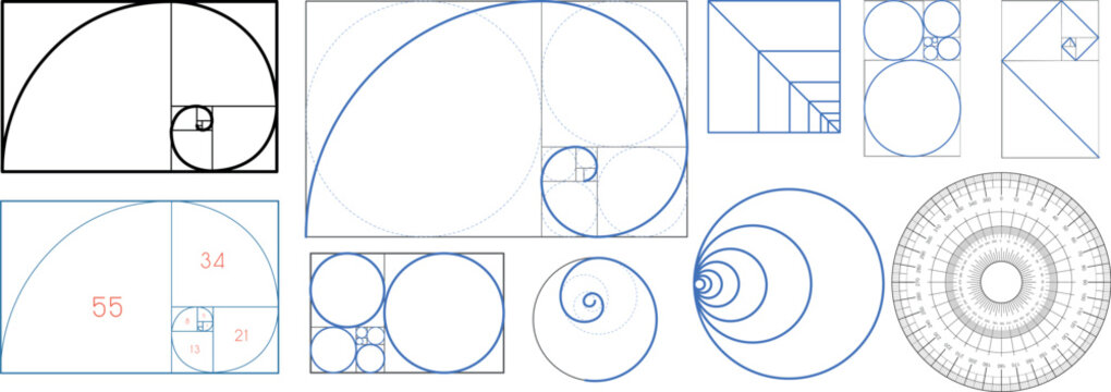 Golden Ratio Fibonacci Spiral Grid Diagram Mathematical Proportion Vector Set
