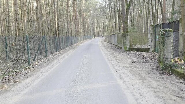 
Wycieczka w lesie w słoneczny dzień, Mazowsze, Polska.
Hiking in the forest on a sunny day, Masovia, Poland.