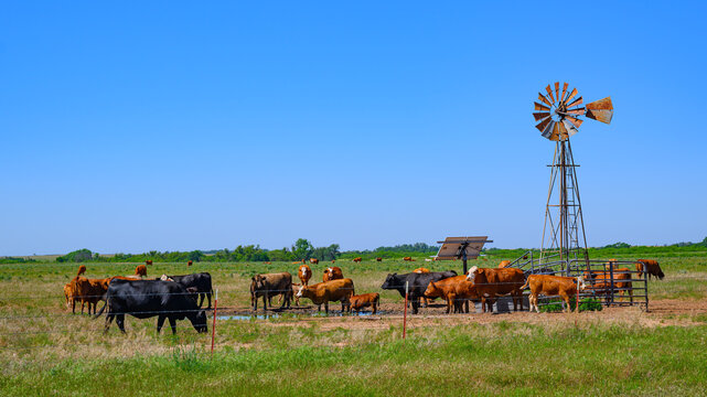 Photos from in and around Lone Wolf, Oklahoma, a small rural farming & agricultural town that has fallen on hard times.
