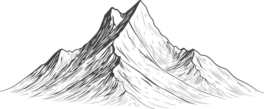 fishtail line art