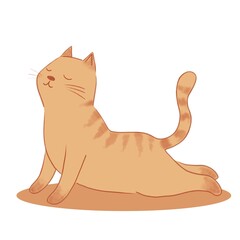 Naklejka premium Cute ginger tabby cat in cobra yoga pose on orange mat. Hand-drawn illustration of orange kitten stretching back with closed eyes. Minimalist animal wellness and mindfulness concept.