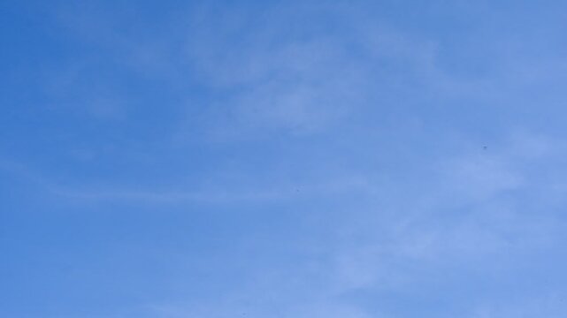 Early in the morning, the wood swallows and swifts takes to the skies, eager for breakfast.