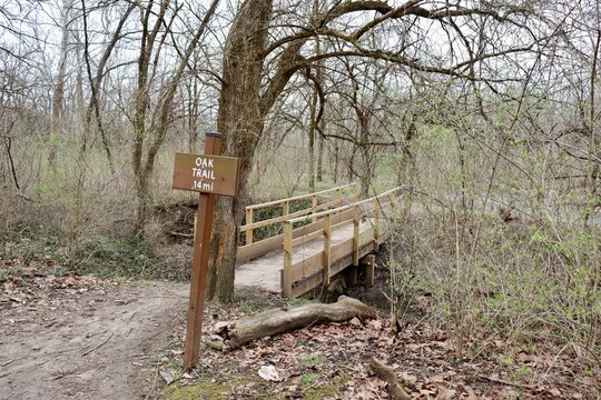 The old wood bridge in the forest on a winter day.