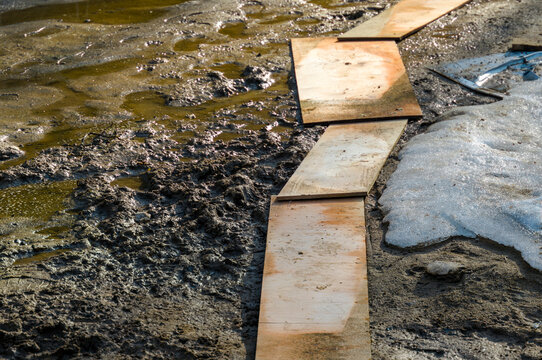 temporally arranged pathway