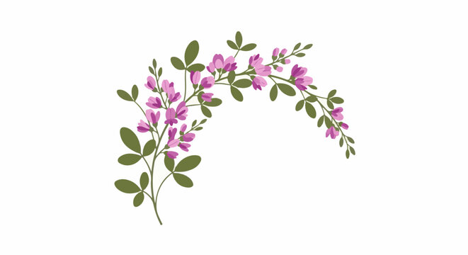 Delicate pink floral branches curve across a white background