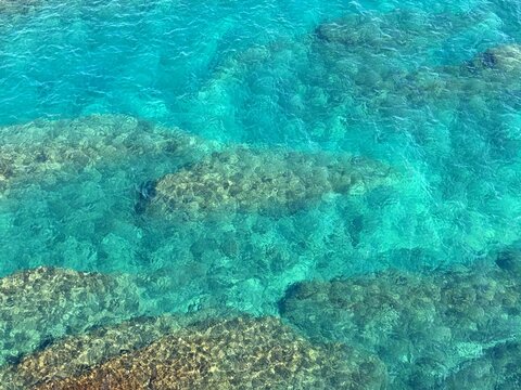 Transparent blue sea with algae aerial view.