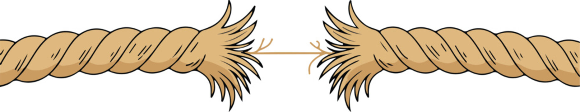 Frayed Rope Ends Facing Each Other with Detailed Twisted Fibers and Separated Braided Segments, Realistic Technical Drawing vector illustration
