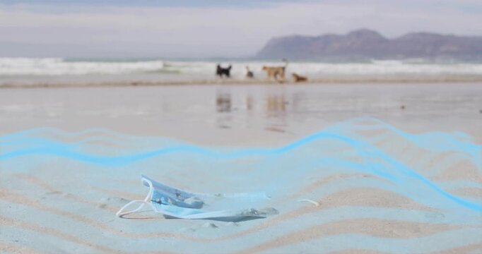 Gentle waves lapping shoreline, dogs sniffing surgical mask exploring beach pollution impact