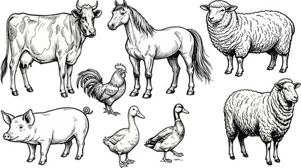 Detailed line drawings of farm animals including cow, horse, sheep, pig, rooster, and ducks with textured outlines and educational artwork © Rina