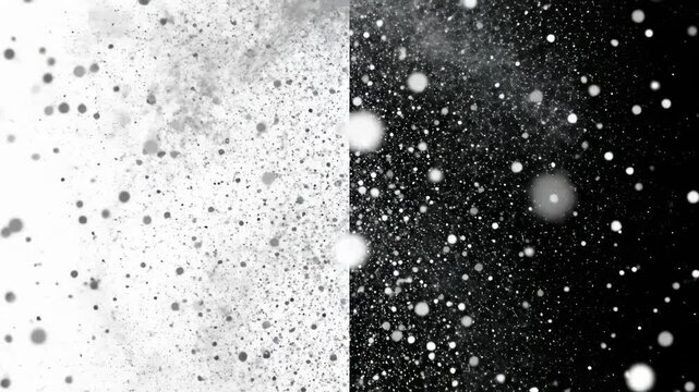Dynamic Abstract Particles with split screen monochrome dust and bokeh effect, ideal for cinematic overlays and motion graphic backgrounds.