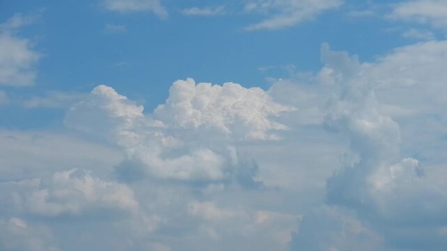 Cumulus congestus, Towering cumulus clouds and Cumulus velum, blue sky, birds in flight - natural sky background slowly moving. Topics: weather, cloudscape, meteorology, nature, air space, cloud types
