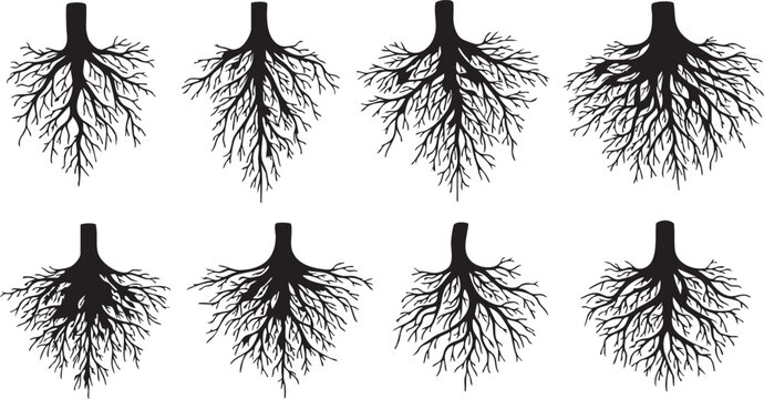 Black silhouettes of lungs with branching airways bronchial tree respiratory system human anatomy