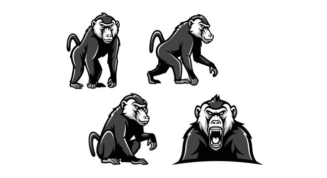 Detailed Baboon Illustrations - A Collection of Striking Monkey Poses.