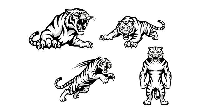 Dynamic Tiger Illustrations - A Collection of Powerful Feline Poses.
