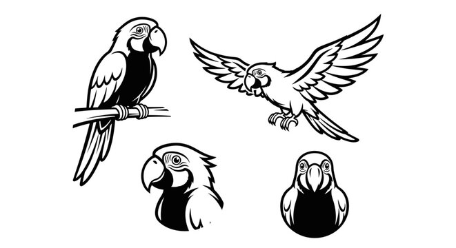 Elegant Parrot Illustrations - A Collection of Macaw Designs.