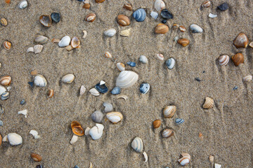 Nordsee in Nordholland, Sint Maartenszee, Strand © UllaAnne