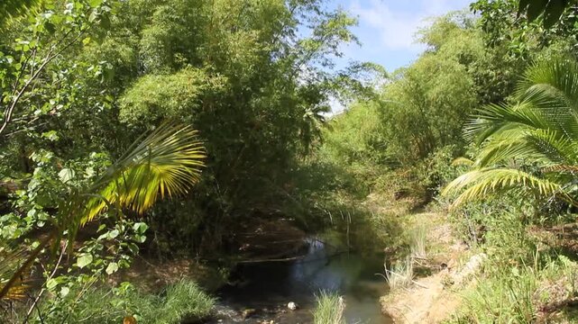 Stream, Guam, Mariana Islands, Micronesia, Western Pacific