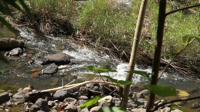 Flowing stream, Guam, Mariana Islands, Micronesia, Western Pacific