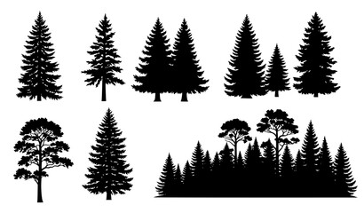 Obraz premium Collection of evergreen and deciduous tree silhouettes