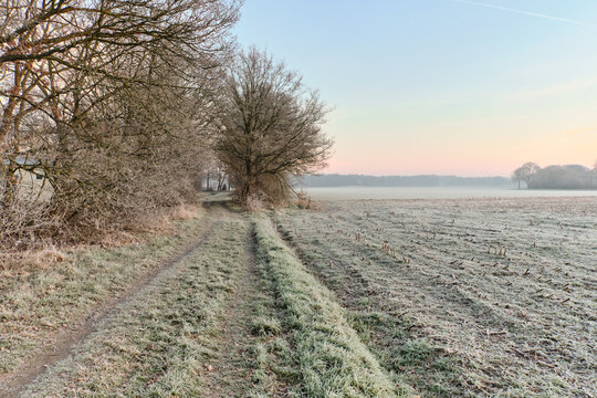 View of a frosty path winds alongside a dormant field under a pale sunrise, trees standing bare against the sky in Echten, Drenthe, Netherlands.