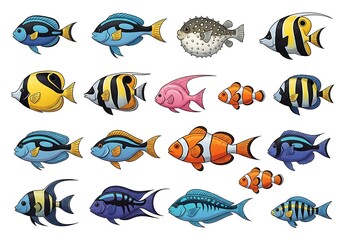 Fototapeta premium Colorful Fish Illustrations