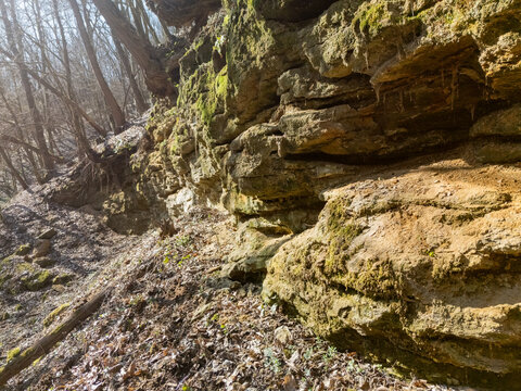 View of sun-kissed, layered rock face adorned with patches of vibrant green moss, juxtaposed against a backdrop of bare trees and scattered fallen leaves, Mucin, Slovakia.