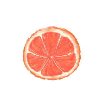 Fresh Orange Slice Isolated on White Background