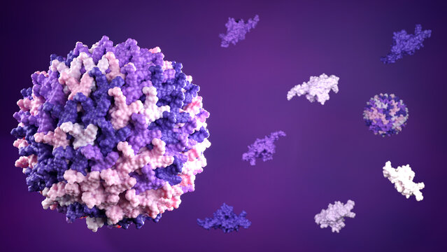 Adeno-associated virus (AAV) capsid model, microscopic visualization of gene therapy vector in intracellular environment. 3D render