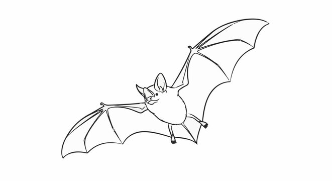Line drawing of a bat in flight, wings spread wide