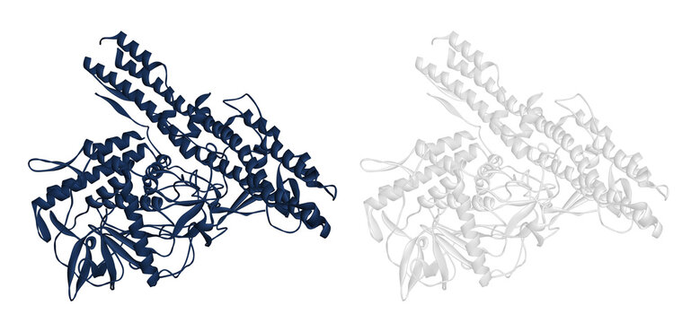Botulinum neurotoxin Type A, botulinum toxin, neurotoxic protein molecule. 3D render
