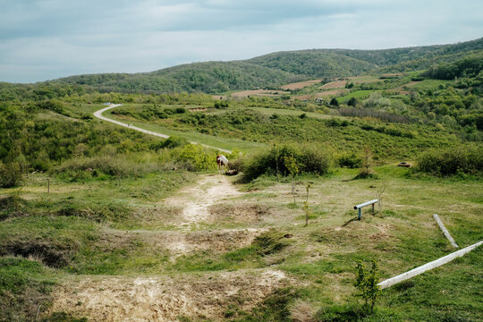 View of the serpentine road slicing through the verdant hills under a cloudy sky, contrasting with the rough terrain in the foreground, Novi Sad, Vojvodina, Serbia.