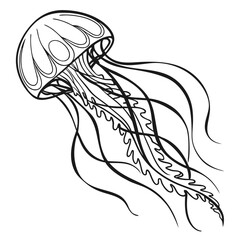 Jellyfish vector illustration in outline style for coloring book or tattoo art simple black and white drawing of graceful sea animal © Monira