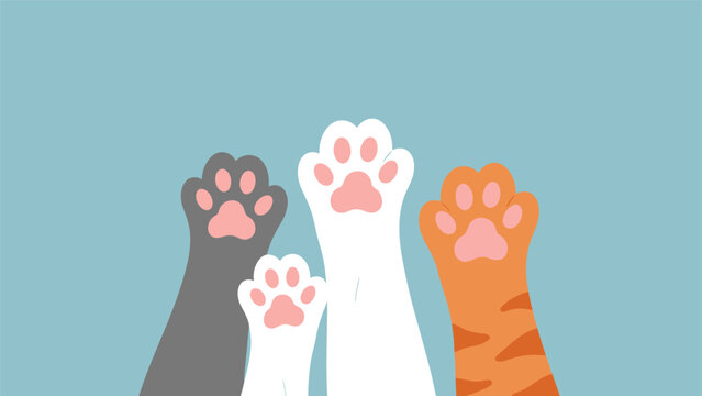 Playful illustration of four colorful cat paws including ginger grey and white reaching up from the bottom against a blue background.