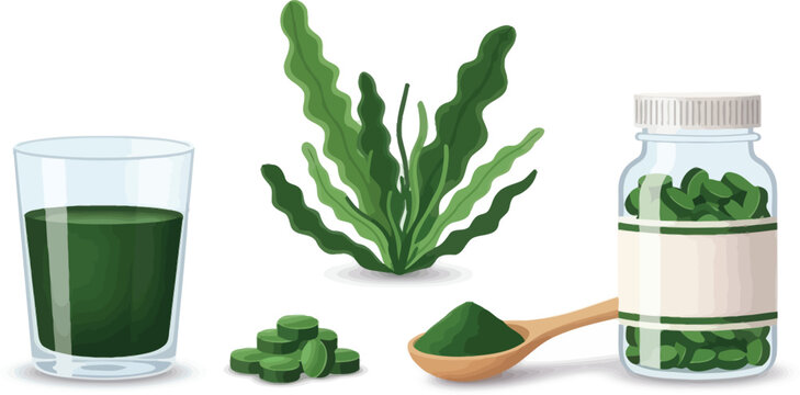 Spirulina and chlorella vector illustrations set. green superfood, healthy dietary supplement.
