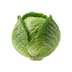 Fototapeta premium Fresh Savoy Cabbage isolated on transparent background