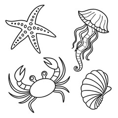 Black and white sea life vector illustration set featuring detailed hand drawn starfish jellyfish crab and scallop shell isolated on white backdrop © naz