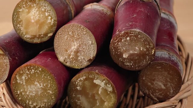 video of close-up of fresh sugarcane.	
