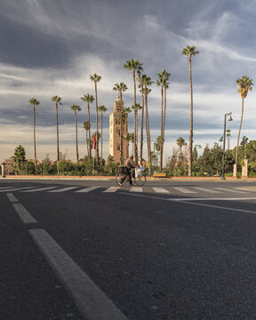 View of a cyclist riding across the zebra crossing, with tall palm trees and a minaret rising in the background, Marrakesh, Marrakesh-Safi, Morocco.
