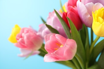 Naklejka premium Bouquet of colorful tulips on light blue background, closeup