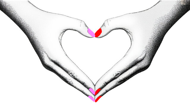 Anatomical illustration of a human pelvis with highlighted hip joint area Vector