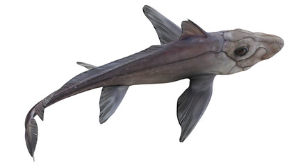 Fototapeta premium Illustration of a mysterious deep-sea fish.