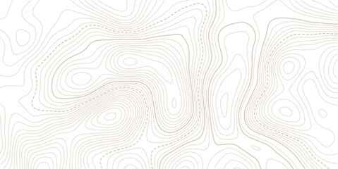 Abstract pattern with lines seamless pattern and topography. Vector contour topographic map background. Topography and geography map grid abstract backdrop.  Topo contour map on white background, © NAZMA