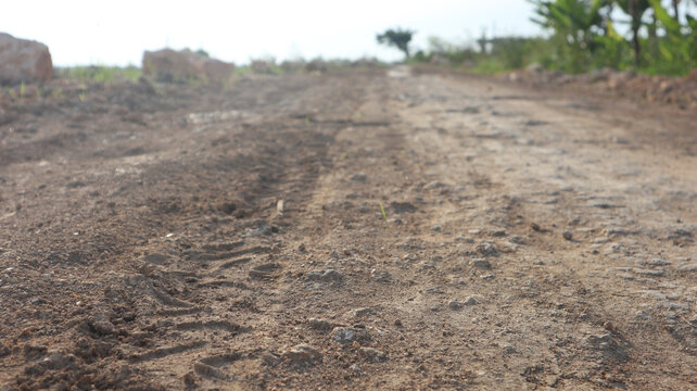Low angle view of a rustic dirt path with vehicle tracks in undeveloped countryside