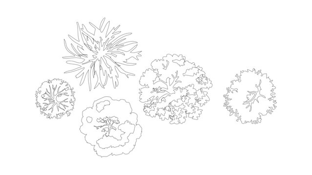Landscape architecture top view tree symbols for site plan drawing and garden arrangement.