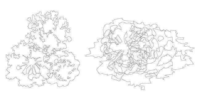 Abstract tree crown outlines for architectural site plan and landscape engineering projects.
