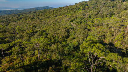 Drone panorama of misty mountains and evergreen forest at dawn in Phu Ruea National Park, capturing tranquil natural scenery and vibrant sunrise hues above the viewpoint pagoda. © Narong Niemhom