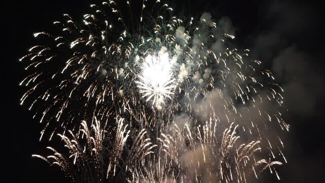 Vibrant Fireworks Explode in Night Sky.