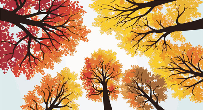 Upward view of colorful autumn trees with vibrant fall foliage against a pale sky
