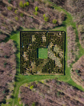 Aerial view of the symmetrical maze with its intricate pathways of green hedges, a verdant puzzle amidst the brown and green forest, Stafford, England, United Kingdom.